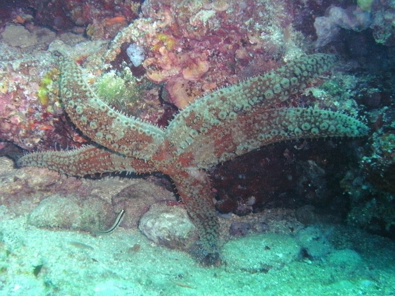 2012-09-19 12-16-24 Steven.jpg